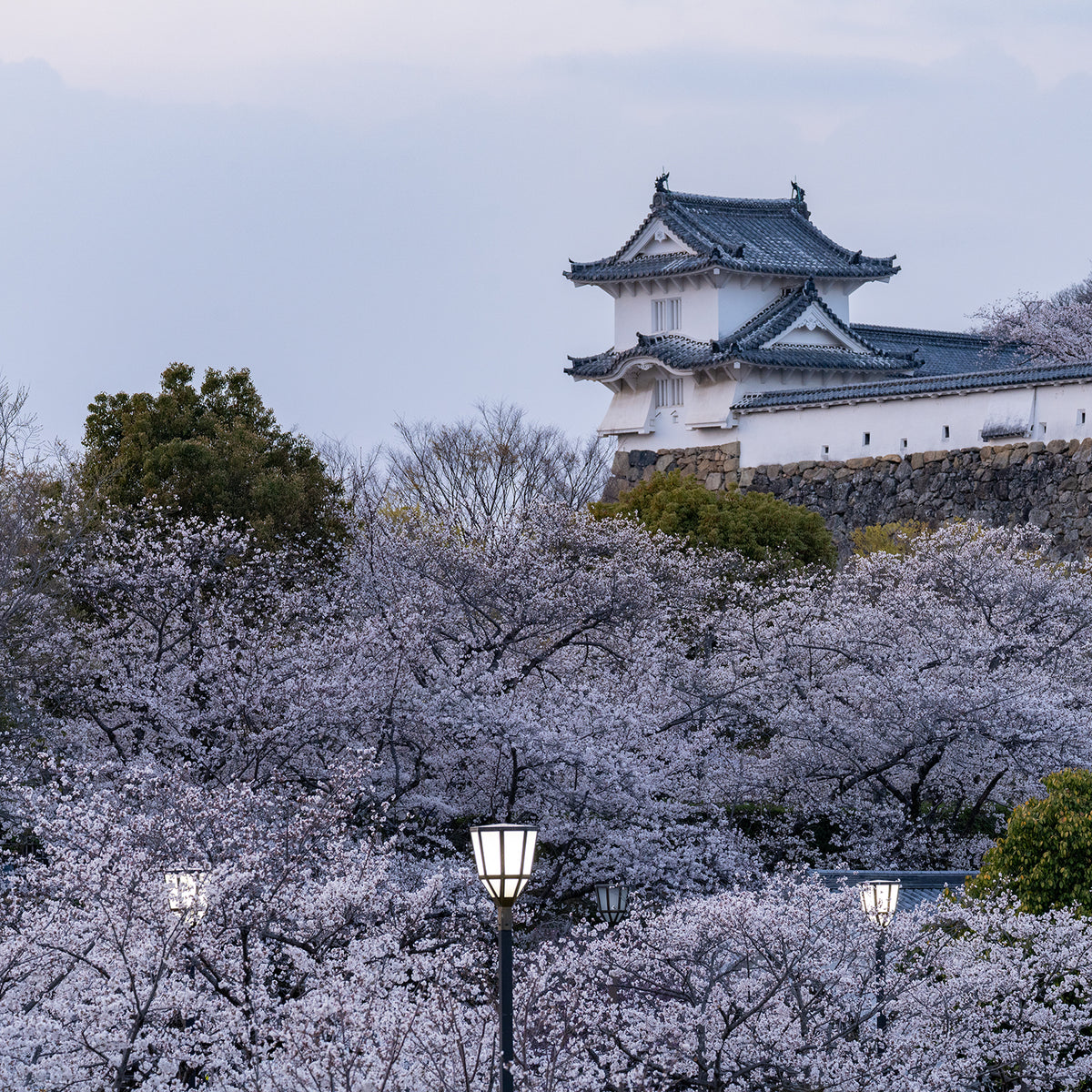 Dusk at Himeji Castle - Limited to 10 Prints