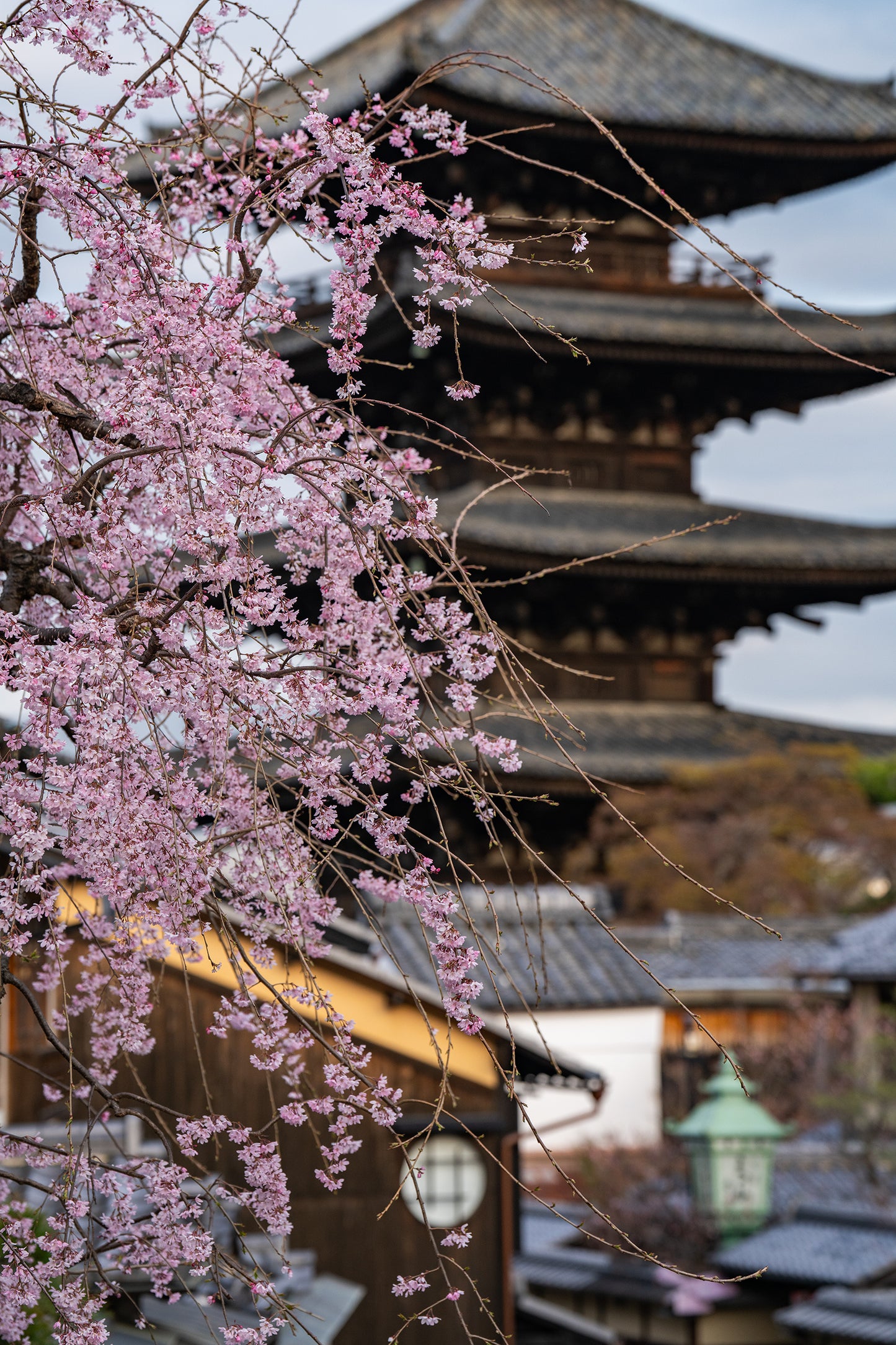 First Light at Yasaka - Limited to 20 Prints