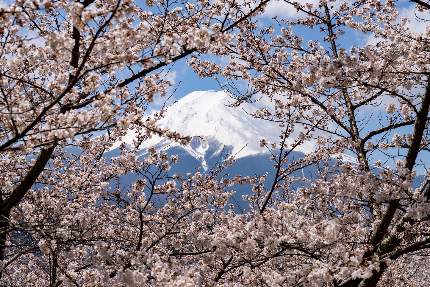 Window to Mount Fuji - Limited to 10 Prints