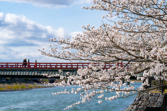 Bridge to Blossoms - Limited to 15 Prints