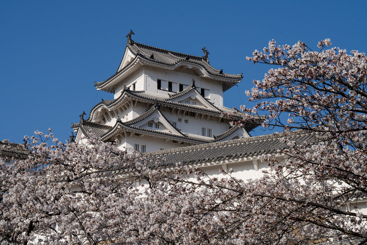 High Noon Himeji - Limited to 15 Prints