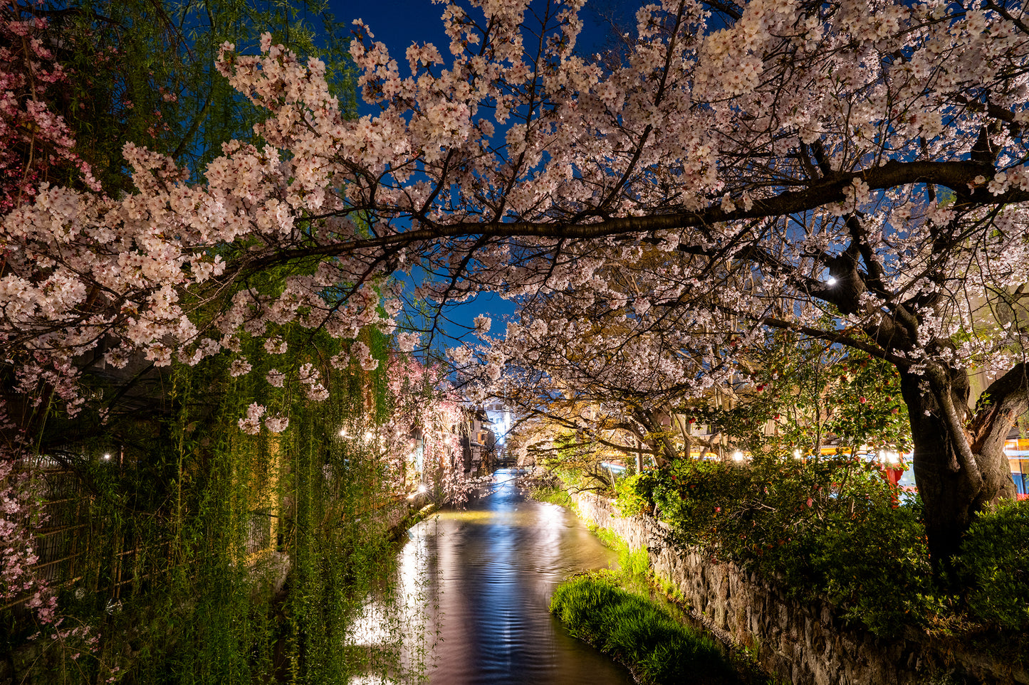 Midnight Canal - Limited to 15 Prints
