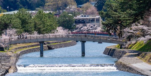 Morning in Uji - Limited to 10 Prints