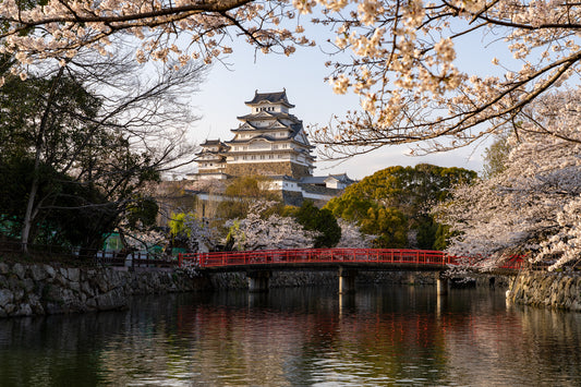 Sakura of Himeji Castle - Limited to 10 Prints
