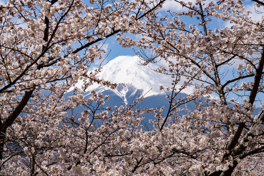 Window to Mount Fuji - Limited to 10 Prints
